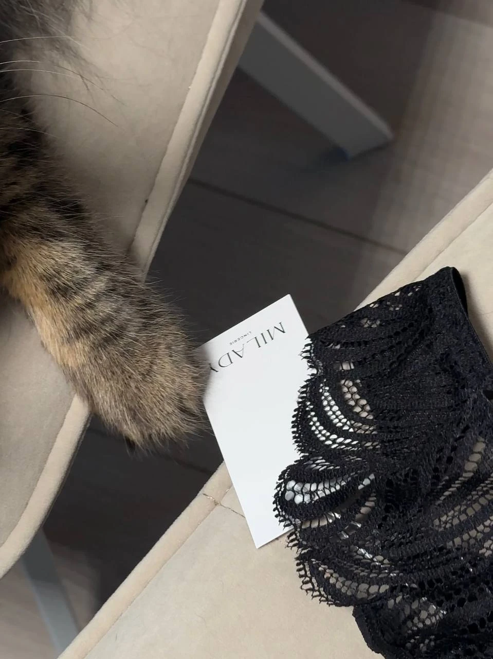 ﻿﻿Отдохните сегодня, уделите время себе: побалуйте себя чем-то особенным